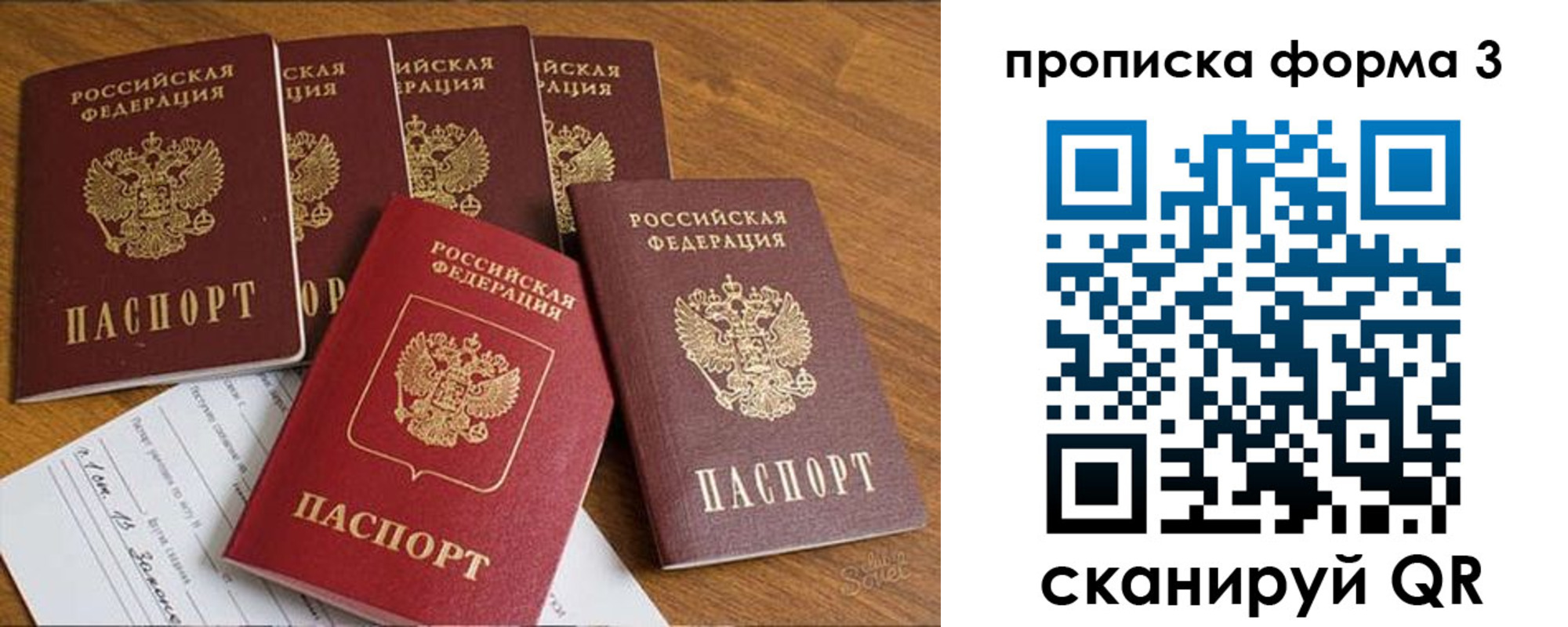 прописка 2025 в Светлогорске